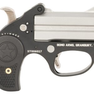 Bond Arms BAST Stinger  22 LR 2rd, 3" Double Matte Stainless Steel Barrel, Anodized Aluminum Frame, Black Nylon Grip, Rebounding Hammer, Crossbolt Safety