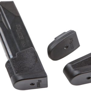 Sig Sauer 8900804 P365 17rd 9mm Luger Blued Steel