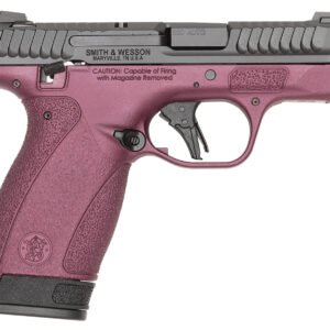 S&W BODYGRD 2.0 14661 380 TS H-319 BCF