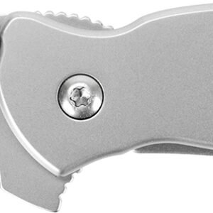 Kershaw 1620FL Scallion  2.40" Folding Drop Point Plain Bead Blasted 420HC SS Blade/Bead Blasted 410 Stainless Steel Handle Includes Pocket Clip