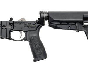 BCM CMPLT LWR RMS SPMD 2 WB BLK BLEM