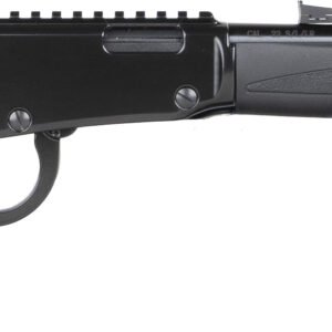 HEN X MODEL LVR 22WMR