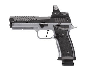 SIG P320 SXG 9MM 5" ROMEO3X PRO 10RD