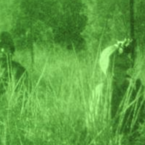Night Vision