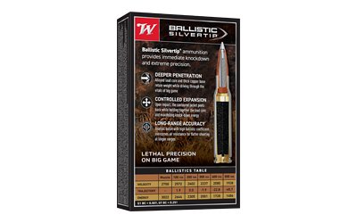 WIN BLSTC TIP 3006SP 180GR 20/200 - Image 2