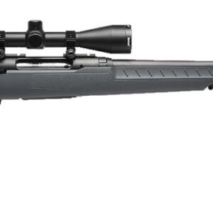 SAVAGE ARMS AXIS 2 CPT 243WIN BL/GRY PKG