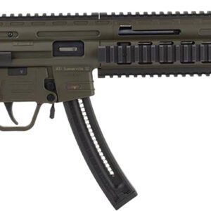 GSG GSG219GERGGSG1622G GSG-16 Full Size 22 LR 22+1 16.25" Black Green Polymer Receiver Black Collapsible w/Storage Compartment Stock Right Hand