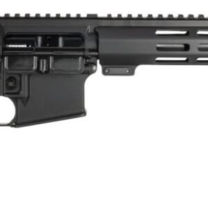 One Horse LLC  OH-15  5.56 NATO 30+1 16" Black Threaded Barrel, Black Receiver w/Picatinny Rail, M-LOK Handguard, One Horse M4 6 Position Black Polymer Stock, Black A2 Grip