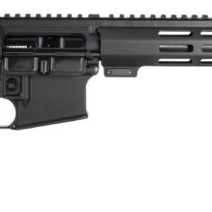 One Horse LLC  OH-15  300 Blackout 30+1 16" Black Threaded Barrel, Black Receiver w/Picatinny Rail, M-LOK Handguard, One Horse M4 6 Position Black Polymer Stock, Black A2 Grip, A2 Flash Hider