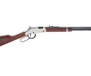 HENRY H4 GLDN BOY SLVR 17HMR 20"