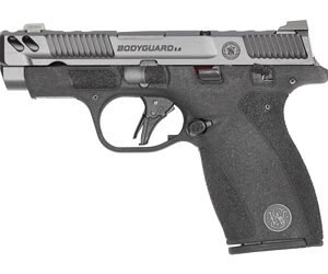 S&W BODYGRD 2 CC 380ACP 3.1" TS CA