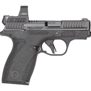 S&W BODYGRD 2.0    14786 380 2.75    RFX1   10/12R