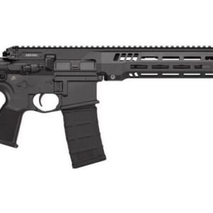 SIG SAUER SIG516 G3 5.56MM BLK 16" FRDM