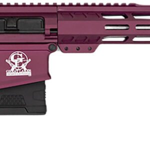 Great Lakes Firearms GL10308SSCHY GLFA 308 Win 10+1 18" AR-10 Stainless Steel Black Cherry