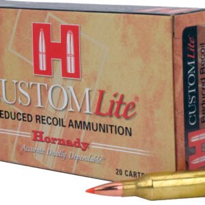 HRN 243 87GR CUSTLITE SST 20RD