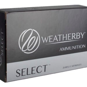 WBY 6.5-300WBY 140GR INT 20RD