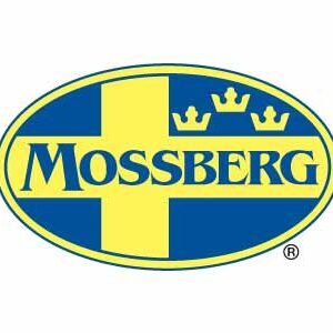 MOSSBERG PATRIOT 308WIN BL/SS 22" TB #