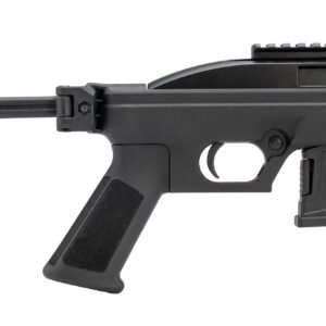 BRZ ROSSI RS22P 22LR 10R BRACE