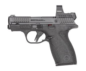 S&W BDYGRD 2.0 RFX1 380ACP 12RD NTS